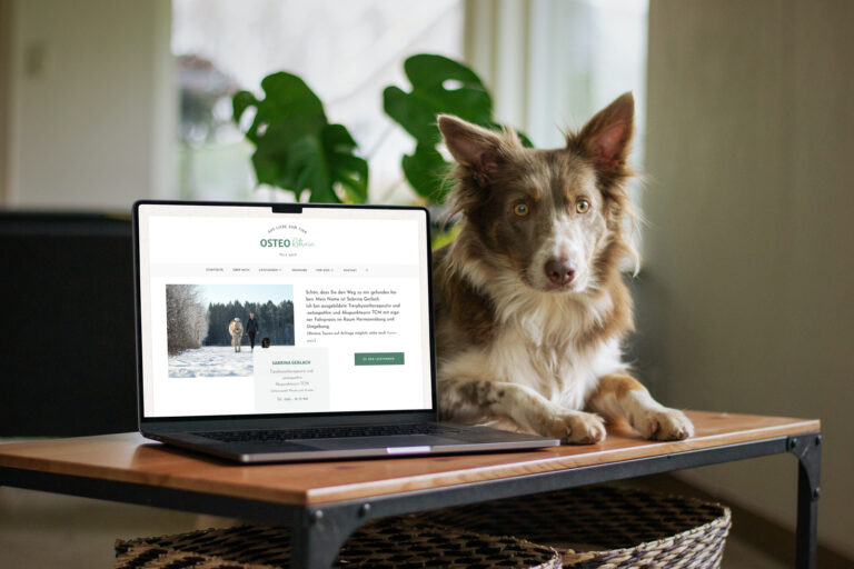 OsteoRetrain_Website