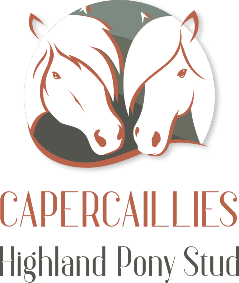 Capercaillies_Capercaillies – Logo hoch