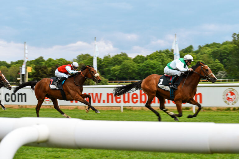 DSC_0088_bearbeitet_web