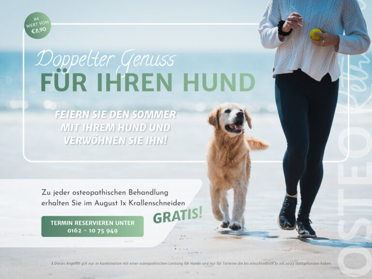 PopUp_Sommer-Hundeaktion_23