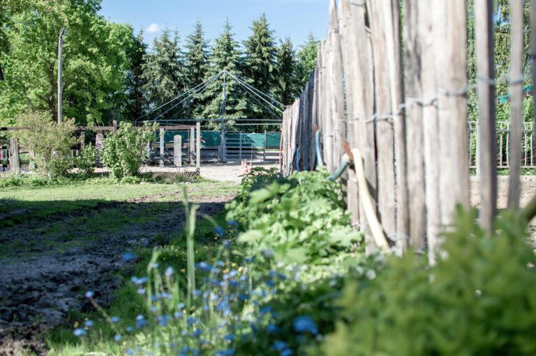 Reitplatz_Ansicht (6)