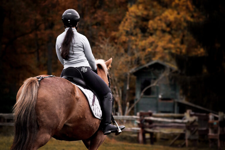 Reitunterricht_112020 (3)