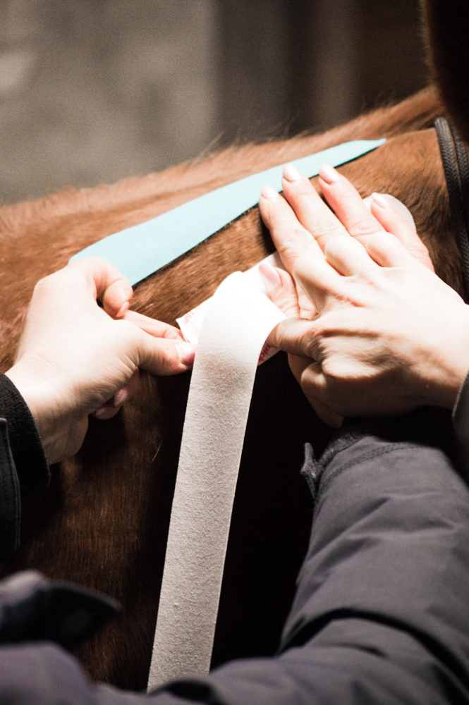 Trainings_23112020 (38)