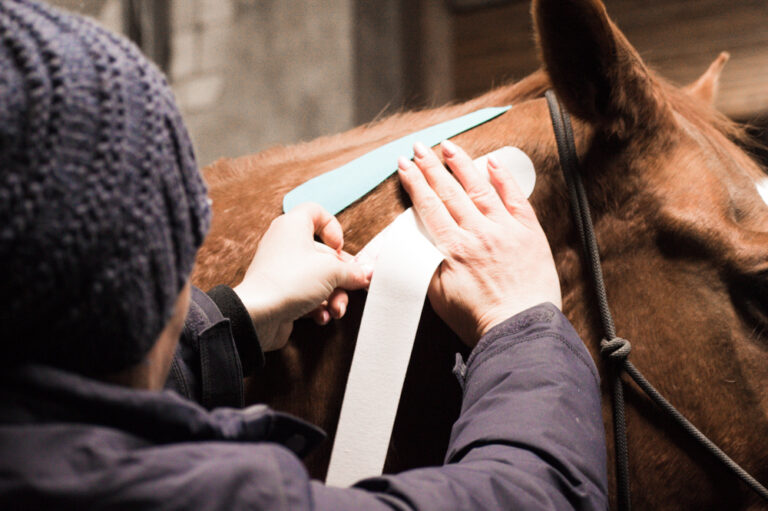 Trainings_23112020 (39)