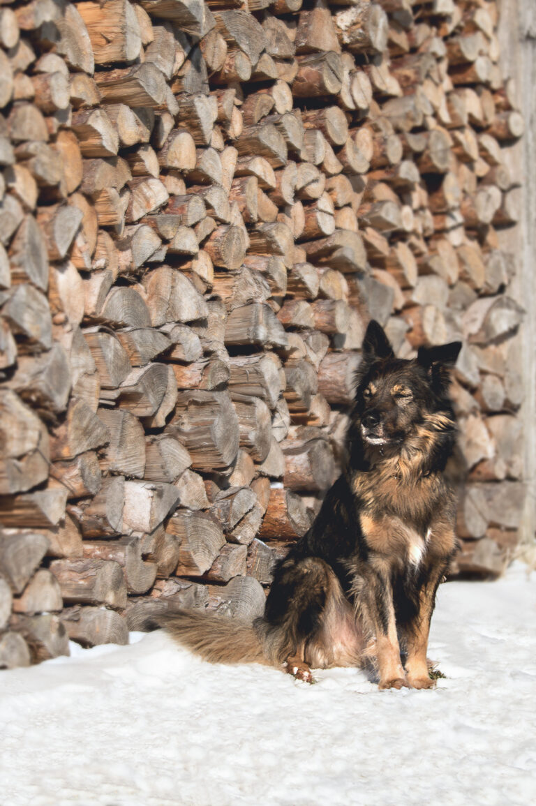 Wintershooting_022021 (6)