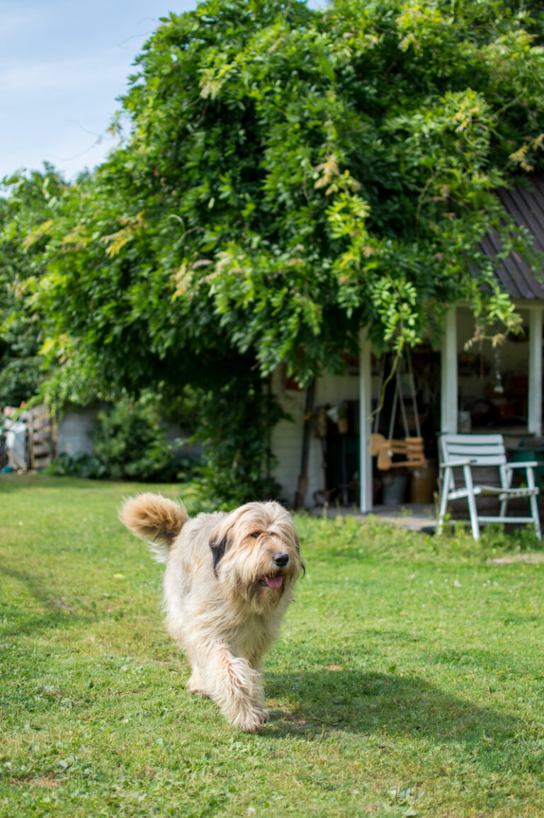 capercaillies_230721_training_005_web_798x1200