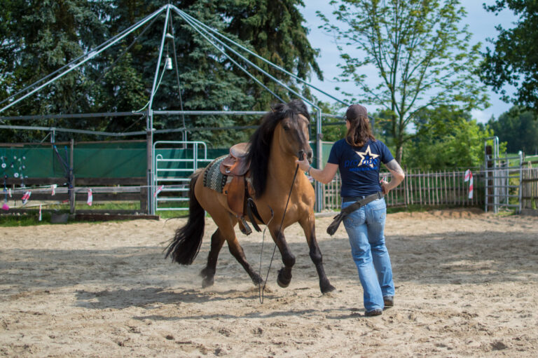 capercaillies_230721_training_006_web_1200x798