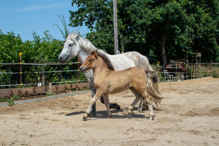 dsc_0066_web_1200x798