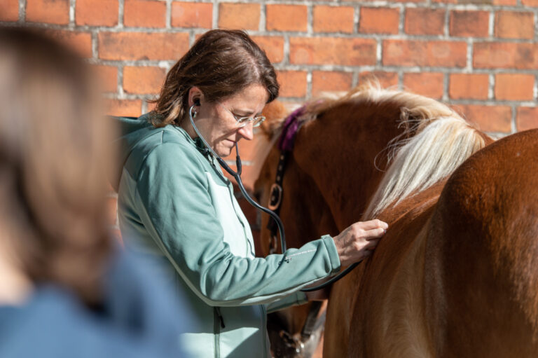 dsc_0463_web_1200x798