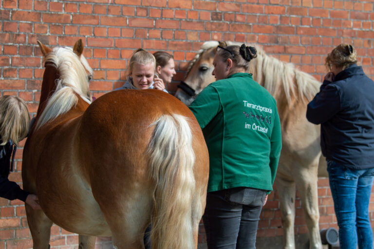 dsc_0488_web_1200x798