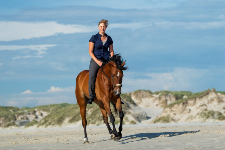 think-horsemanship_240601_daenemark_caro_128_web_1200x798